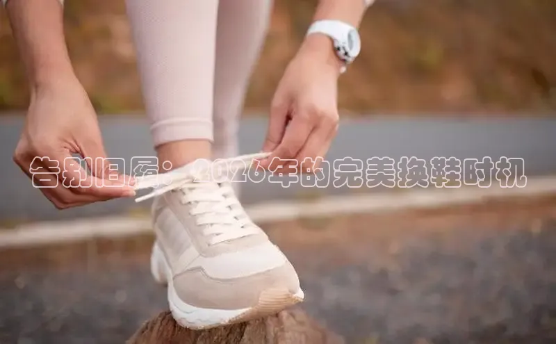 领航国际